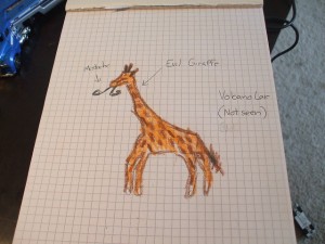 giraffe-006